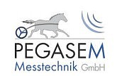 PEGASEM - PEGASEM Messtechnik GmbH